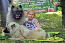 Кеесхонды и дети